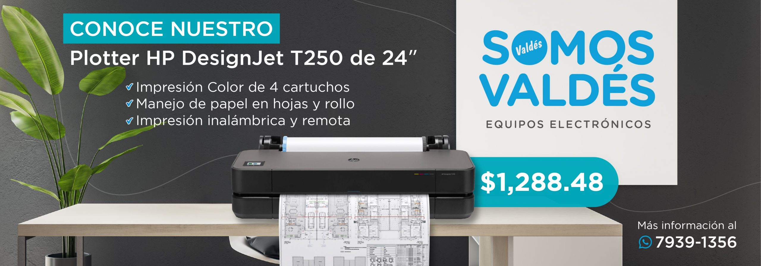 23-01 Plotter HP T250
