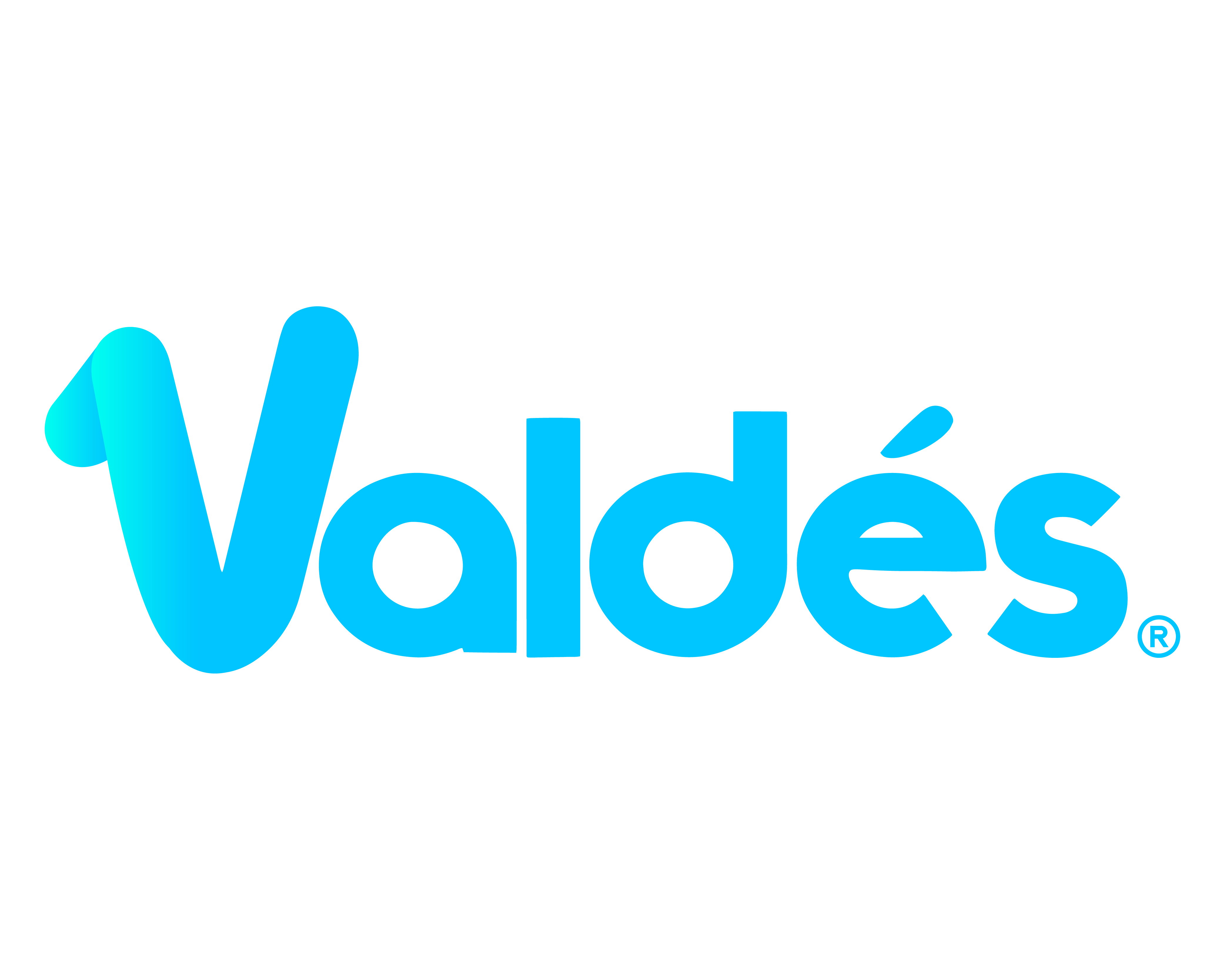 Equipos Electrónicos Valdés